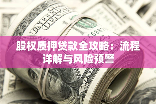 北京股权质押贷款全攻略：流程详解与风险预警