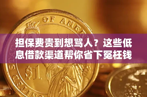 北京担保费贵到想骂人？这些低息借款渠道帮你省下冤枉钱