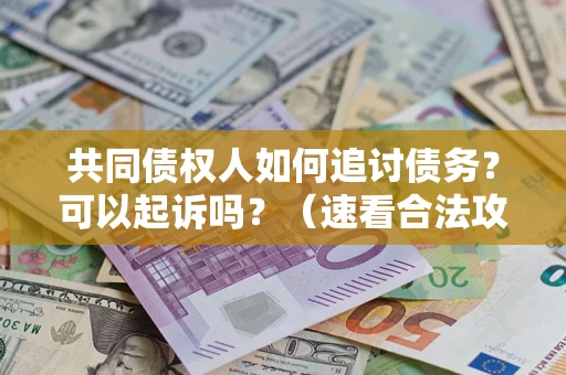 北京共同债权人如何追讨债务？可以起诉吗？（速看合法攻略）